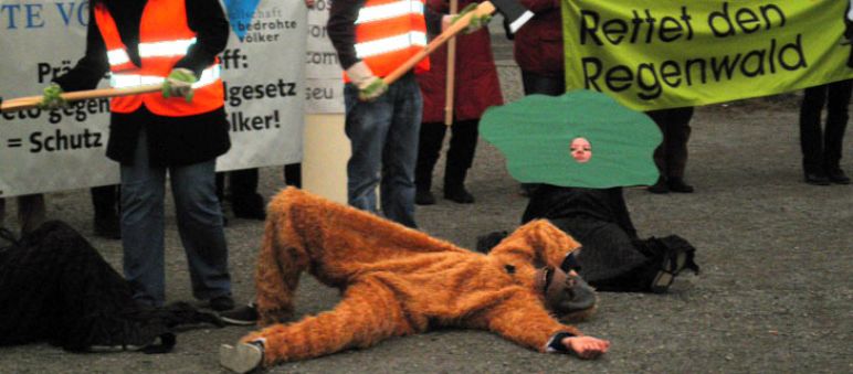Neues Waldgesetz gefährdet Regenwald und Artenvielfalt