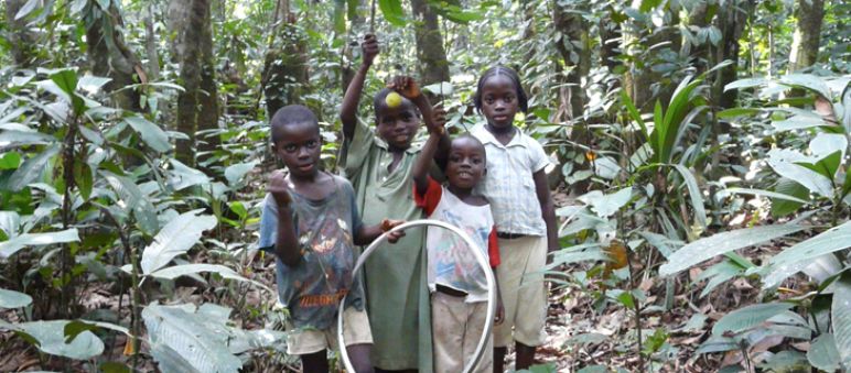 Präsidentin zügelt Palmöl-Unternehmen Vier Kinder spielen im Regenwald.