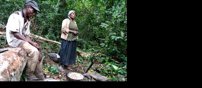 Verarmte Frau in Nigeria sammelt Forest Mangos