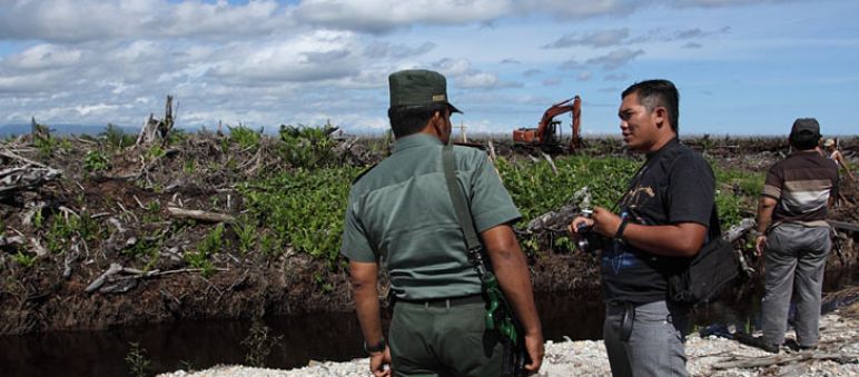 Ermittler vor Ort in Tripa (Foto: Coalition to save Tripa) Ermittler in Tripa