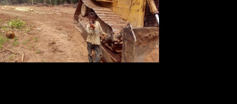 Bulldozer haben eine 100 Meter breite Schneise geschlagen Ein kleiner Junge steht neben einem Bulldozer auf einer bereits gerodeten Fläche im Regenwald