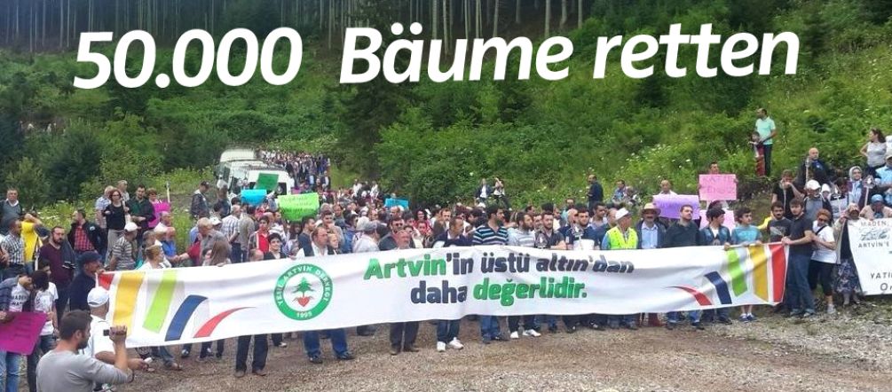 In der Türkei demonstrieren Einheimische gegen die Rodung von 50.000 Bäumen für eine Goldmine