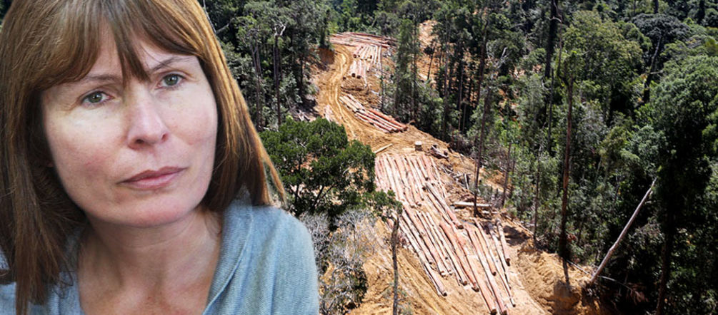 Montage: Die Journalistin Clare Rewcastle Brown vom Sarawak Report vor der Kulisse einer Rodung.