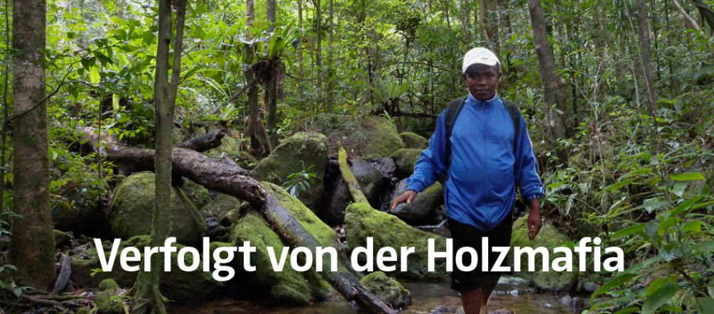 Für Umweltschützer auf Madagaskar ist es gefährlich, gegen den Handel mit Palisander- und Ebenhölzern zu kämpfen Clovis Razafimalala in Masoala National Park