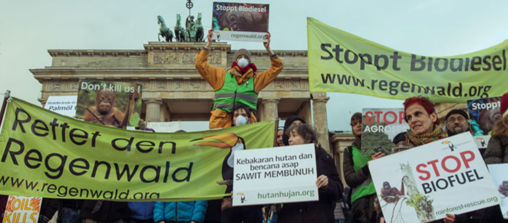 Demo Indonesien Rettet den Regenwald Berlin Brandenburger Tor