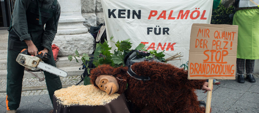 Aktivisten vor dem Gebäude der GIZ in Berlin (Foto: Christine Denck) Aktivisten demonstrieren vor dem Gebäude der GIZ in Berlin. Auf einen Baustumpf hat ein Demonstrant im Affenkostüm seinen Kopf gelegt. Dahinter steht ein Mann mit einer Kettensäge. Plakate gegen Palmöl werden hochgehalten.