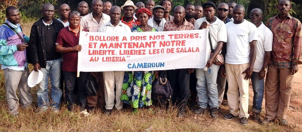 Bauern demonstrieren auf einer Plantage der Firma Socfin in Kamerun