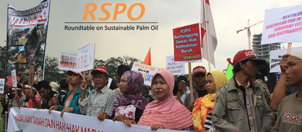 RSPO-Demo in Indonesien