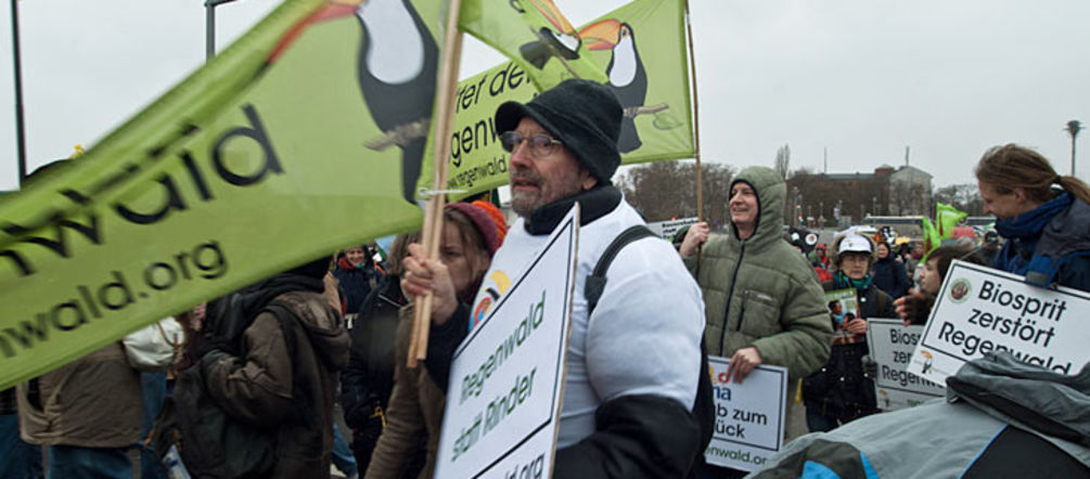 Regenwaldgruppe bei "Wir haben es satt" - Demo Demonstranten bei der "Wir haben es satt" Demo
