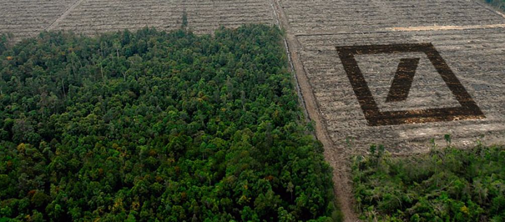 Die Deutsche Bank sucht Investoren für den Kahlschlag. Statt artenreichem Regenwald sollen in Indonesien und Afrika bald noch mehr großflächig Palmöl-Monokulturen entstehen