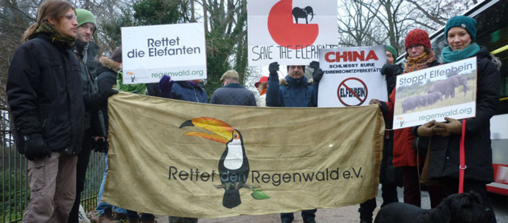 Protest vor dem Chinesischen Konsulat: 40 Menschen demonstrieren für 400.000 Elefanten Mehrere Menschen demonstrieren vor Chinas Konsulat in Hamburg gegen Elfenbeinhandel