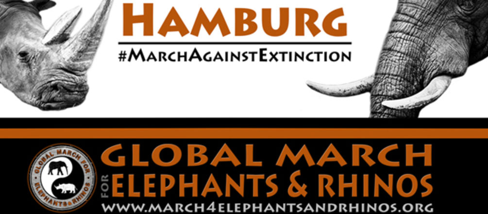 Aufruf Elefant