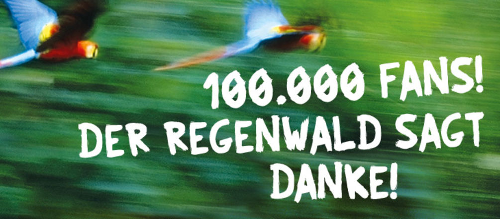 Über ein Bild fliegender Papageien ist der Schriftzug "100.000 Fans! Der Regenwald sagt Danke!" montiert.