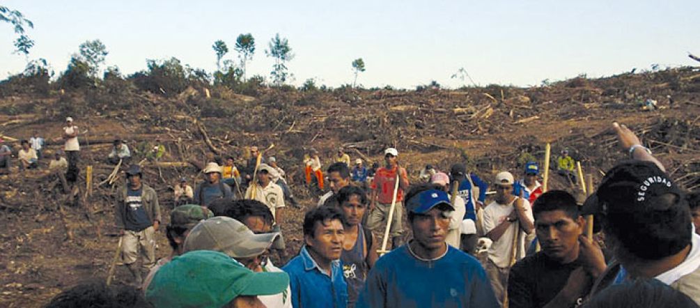 Bauern in Peru betrachten verzweifelt die Zerstörungen für Palmölplantagen Dorfbewohner stehen auf gerodeter Fläche und empören sich