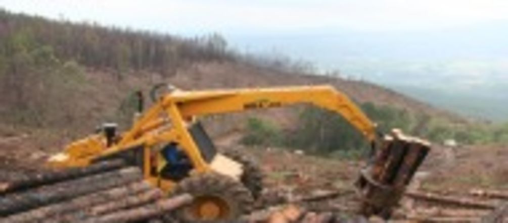 FSC-zertifizierter Holzplantagenkahlschlag in Südafrika