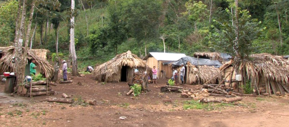 Vertriebene Gemeinde im Bezirk Petén (Foto: Gregory Lassale) Ein Flüchtlingscamp im Wald