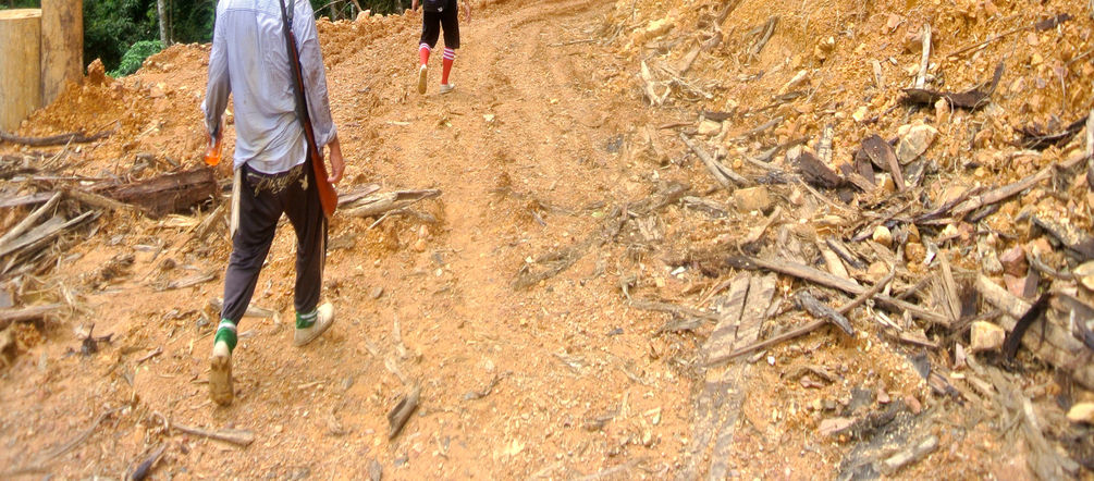 Illegale Rodung in Sarawak/Malaysia