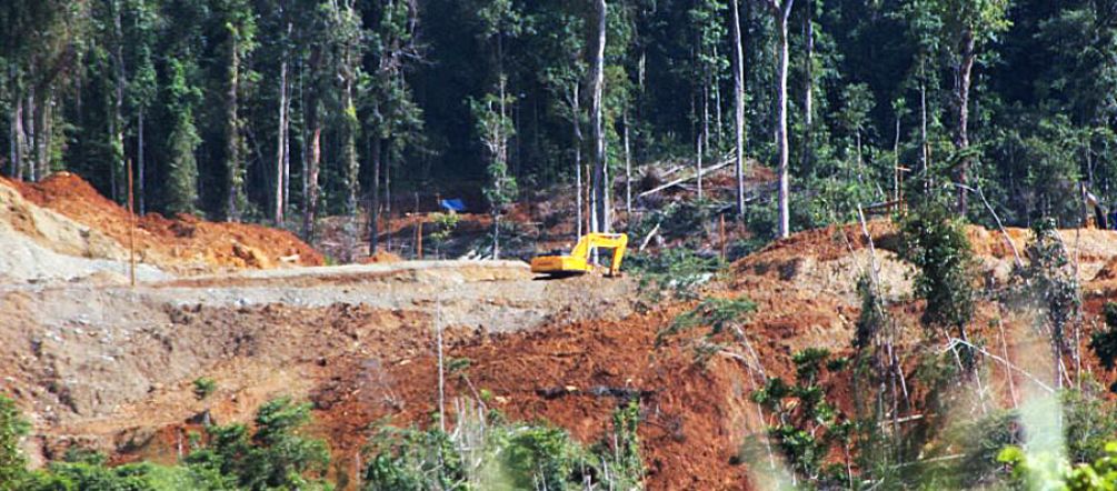 Noch können die Bagger im Naturschutzgebiet aufgehalten werden Ein Bagger arbeitet sich durch den schon zum Teil zerstörten Regenwald