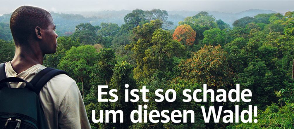 Der Regenwald ist der größte Schatz Kameruns Mann blickt auf die Baumwipfel des Regenwaldes - Text: Es ist so schade um diesen Wald!