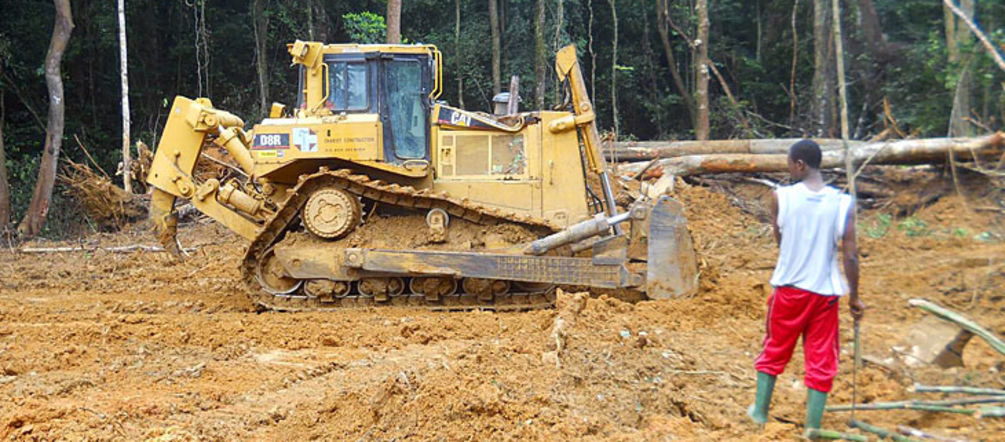 Jetzt ruhen die Bulldozer im Regenwald Ein Mann beobachtet einen Bulldozer im Regenwald