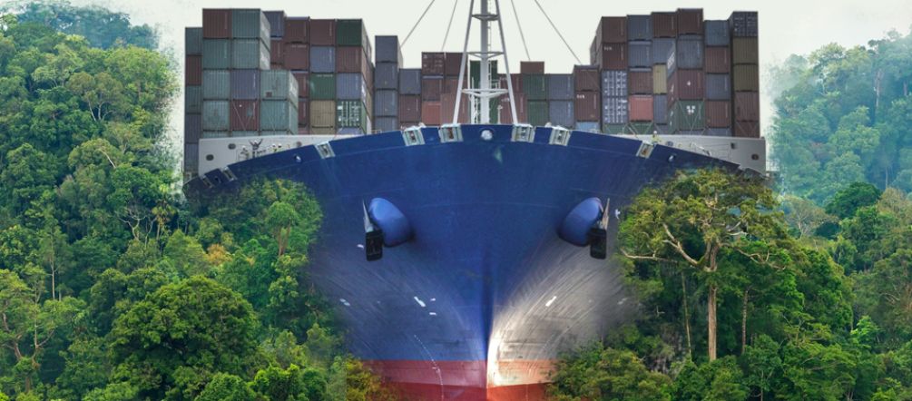 Nicaragua-Kanal: Der globale Rohstoffabbau vernichtet die Natur und bedroht die Menschen Ein Containerfrachter walzt den Regenwald platt