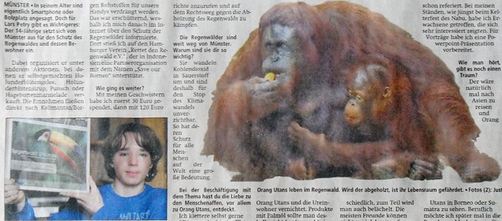 Ein Interview über die Orang-Utans und ihren Regenwald Zeitungsausschnitt
