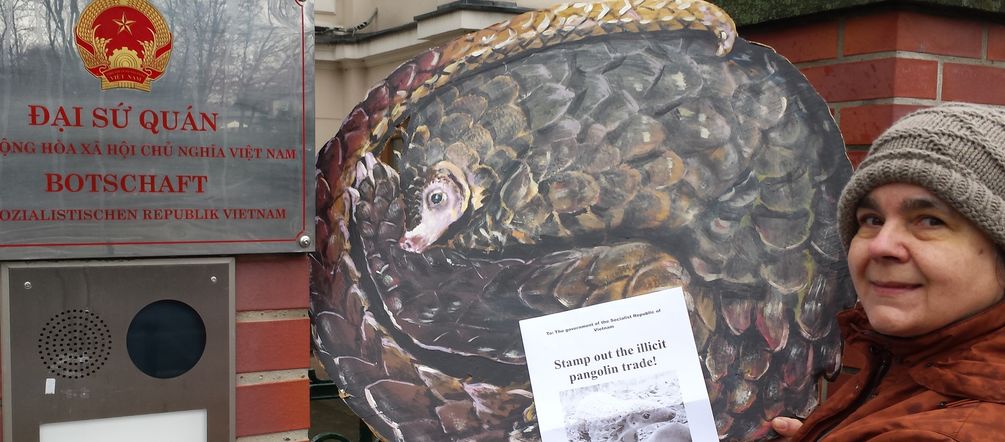 Rettet den Regenwald erinnert die Regierungen Chinas und Vietnams regelmäßig an Ihre Verantwortung im Kampf gegen den Pangolinschmuggel. Eine Mitarbeiterin von Rettet den Regenwald steht mit einem Ausdruck der Pangolinpetition vor dem Eingangstor der vietnamesischen Botschaft.
