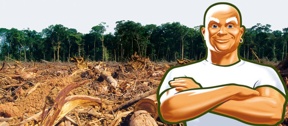 Die Werbefigur Meister Proper steht mit verschränkten Armen vor gerodetem Wald