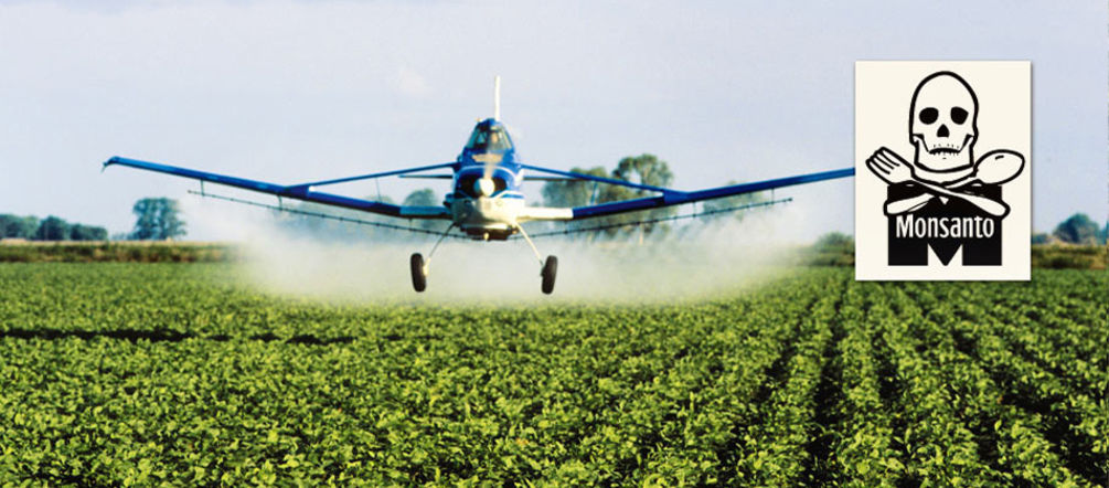 Für der Anbau von Gentech-Soja werden große Mengen Herbizide versprüht, die Mensch und Natur vergiften (Tiago Fioreze - Lizenz CC BY-SA 3.0 - Montage RdR) Ein Flugzeug versprüht Herbizide auf einer Soja-Plantage