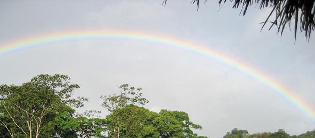 Schön und gefährdet: Biosphärenreservat Indio Maíz Regenwald in Nicaragua