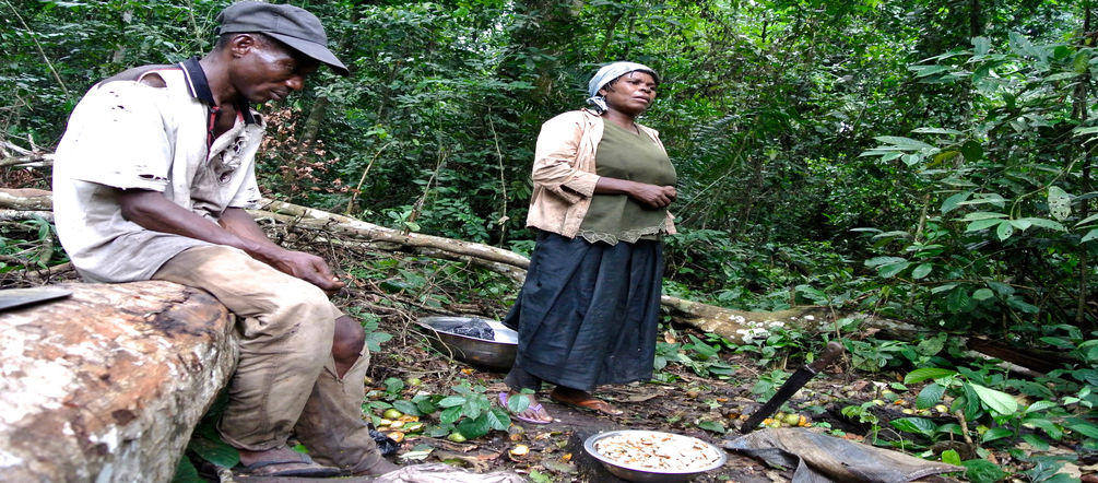 Verarmte Frau in Nigeria sammelt Forest Mangos