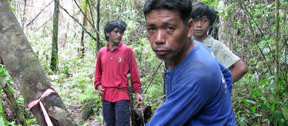 Im Urwald der Indigenen Palawan hat der Bergbaukonzern bereits die Bäume markiert