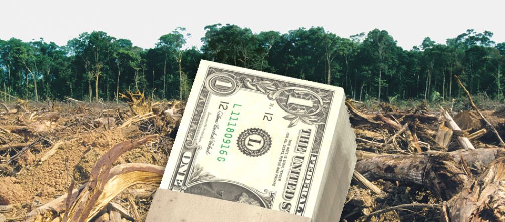 Unser Geld frisst Regenwald US- Dollarschein vor Regenwald