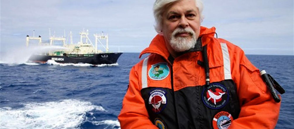 Paul Watson setzt sich unermüdlich zum Schutz der Meere ein (Foto: Sea Shepherd, Barbara Veiga)