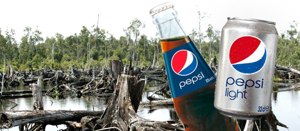 Dem US-Konzern PepsiCo ist egal, ob für Palmöl Regenwald gerodet wird Vor einer Rodung von Regenwald sind eine Dose und eine Flasche Pepsi-Cola zu sehen.