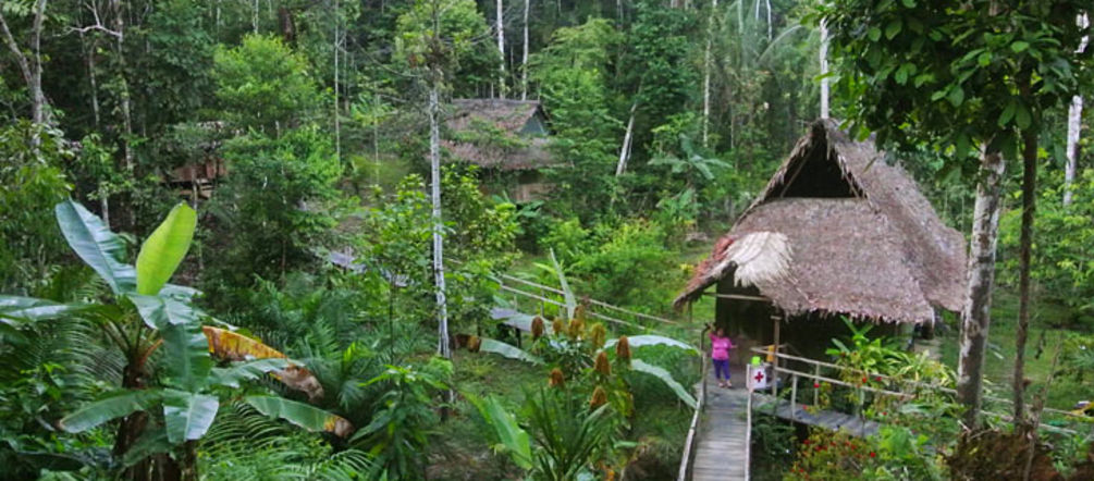 Die Bewohner des peruanischen Regenwaldes leben im Einklang mit der Natur Im Regenwald von Peru sieht man ein Camp aus mehrern Häusern
