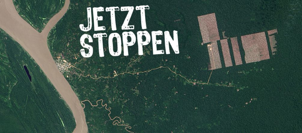 Für Plantagen werden Pisten in den Regenwald geschlagen (Foto: NASA) Ein Satelittenbild zeigt Rodungen in Peru. Darüber der Schriftzug: Jetzt stoppen