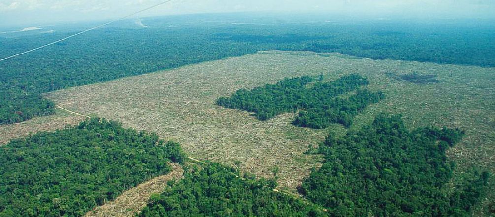 EU-Freihandel bedroht Regenwälder Regenwald in Kolumbien