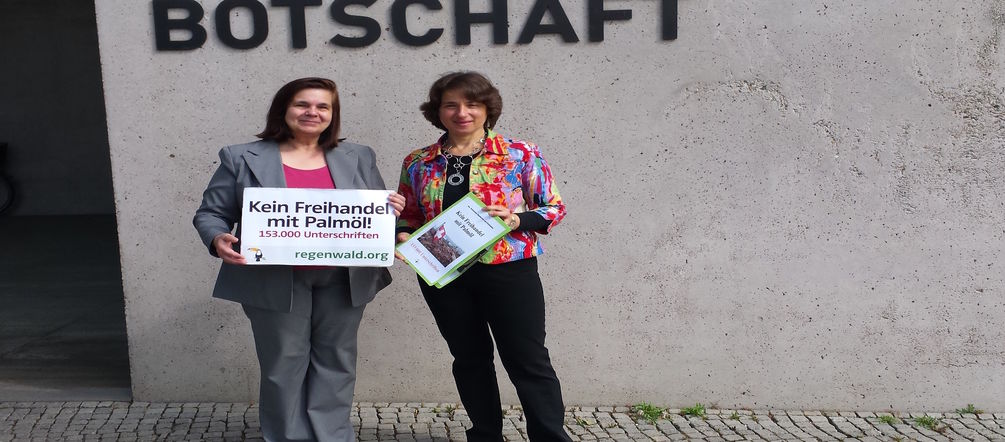 Mehr als 153.000 Menschen unterschrieben gegen den Freihandel mit Palmöl Übergabe der Petition mit 153.000 Unterschriften gegen Freihandel der Schweiz mit Palmöl aus Indonesien und Malaysia von Rettet den Regenwald vor Schweizerischer Botschaft in Berlin