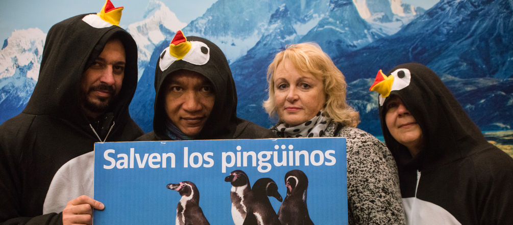 Am Weltpinguintag hat Rettet den Regenwald 210.000 Unterschriften übergeben Vier Personen, davon drei als Pinguine verkleidet halten ein Schild mit Pinguinen in der Hand
