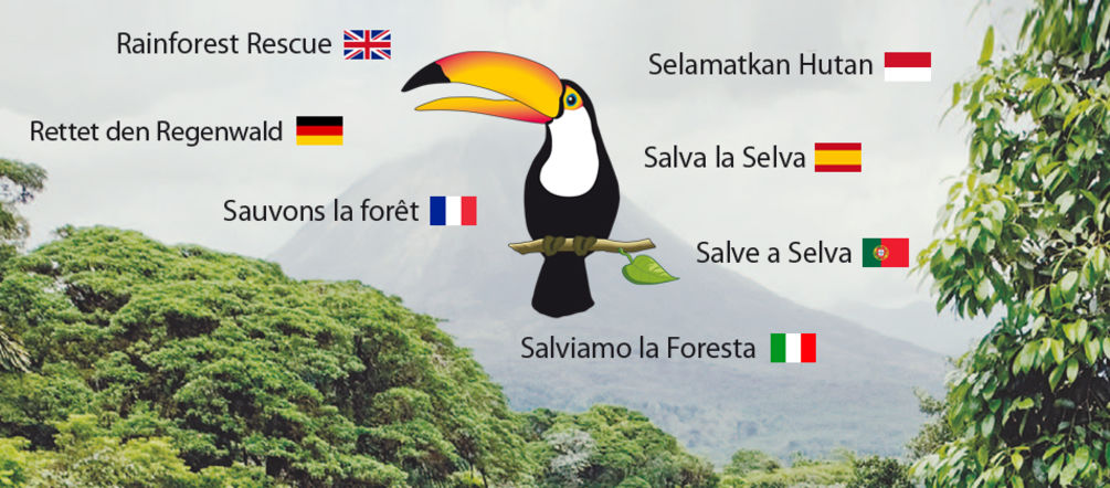 Der Kampf um den Regenwald wird in vielen Sprachen geführt Regenwald Tucan