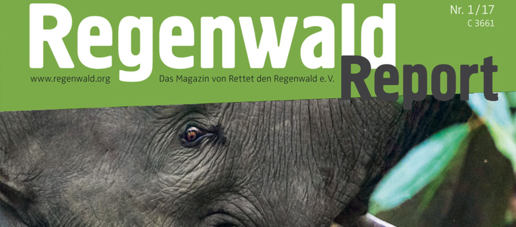 Der neue Regenwald Report ist da Regenwald Report 1/17 Cover