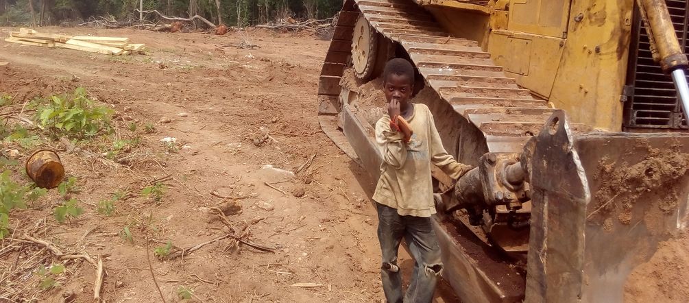 Bulldozer haben eine 100 Meter breite Schneise geschlagen Ein kleiner Junge steht neben einem Bulldozer auf einer bereits gerodeten Fläche im Regenwald