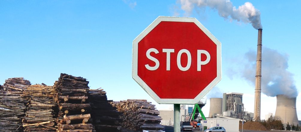 Biomasse-Pläne von Uniper gefährden Wälder Biomassekraftwerk von Eon gefährdet Wälder
