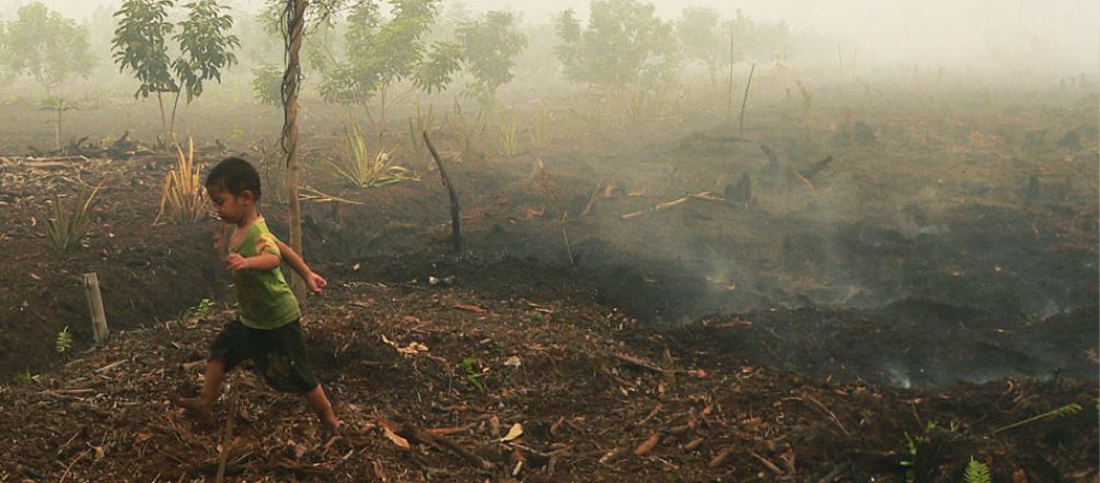 Abgebrannter Torfwald , Zentral-Kalimantan Junge läuft durch verbrannten Torfwald