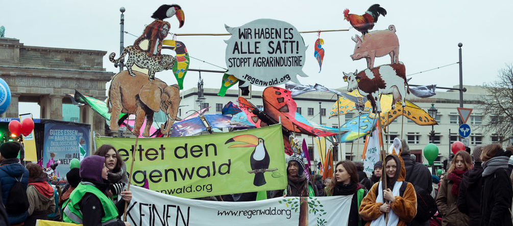 Die Regenwald-Regionalgruppe mit ihren kunstvollen Plakaten läutet das neue Protestjahr traditionell auf der Wir haben es satt!-Demo ein. Aktivisten halten Banner und Plakate gegen Massentierhaltung in die Höhe