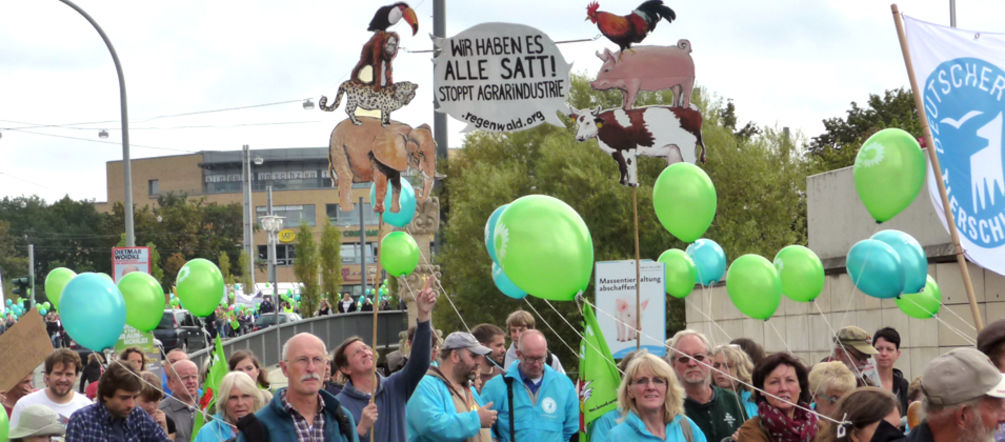 "Wir haben es satt"- Demo in Potsdam Foto: Angelica Transparente bei Domonstartion Rettet den Regenwald