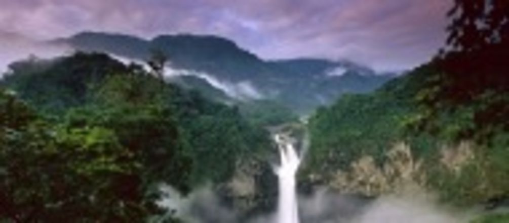 Der Nationalpark Yasuní in Ecuador braucht unsere Hilfe