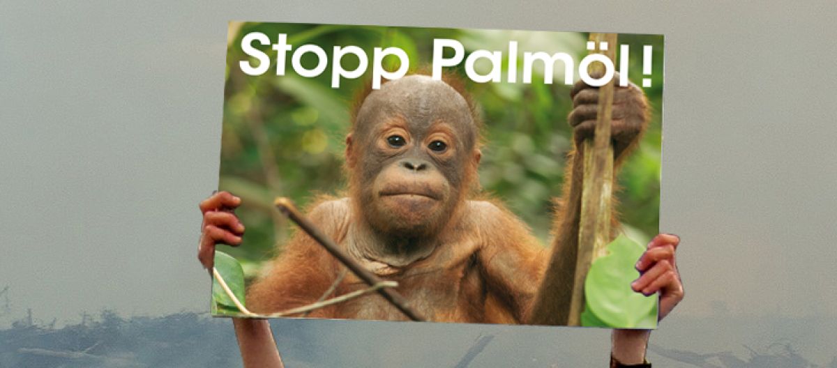Plakat mit der Aufschrift "Stopp Palmöl"