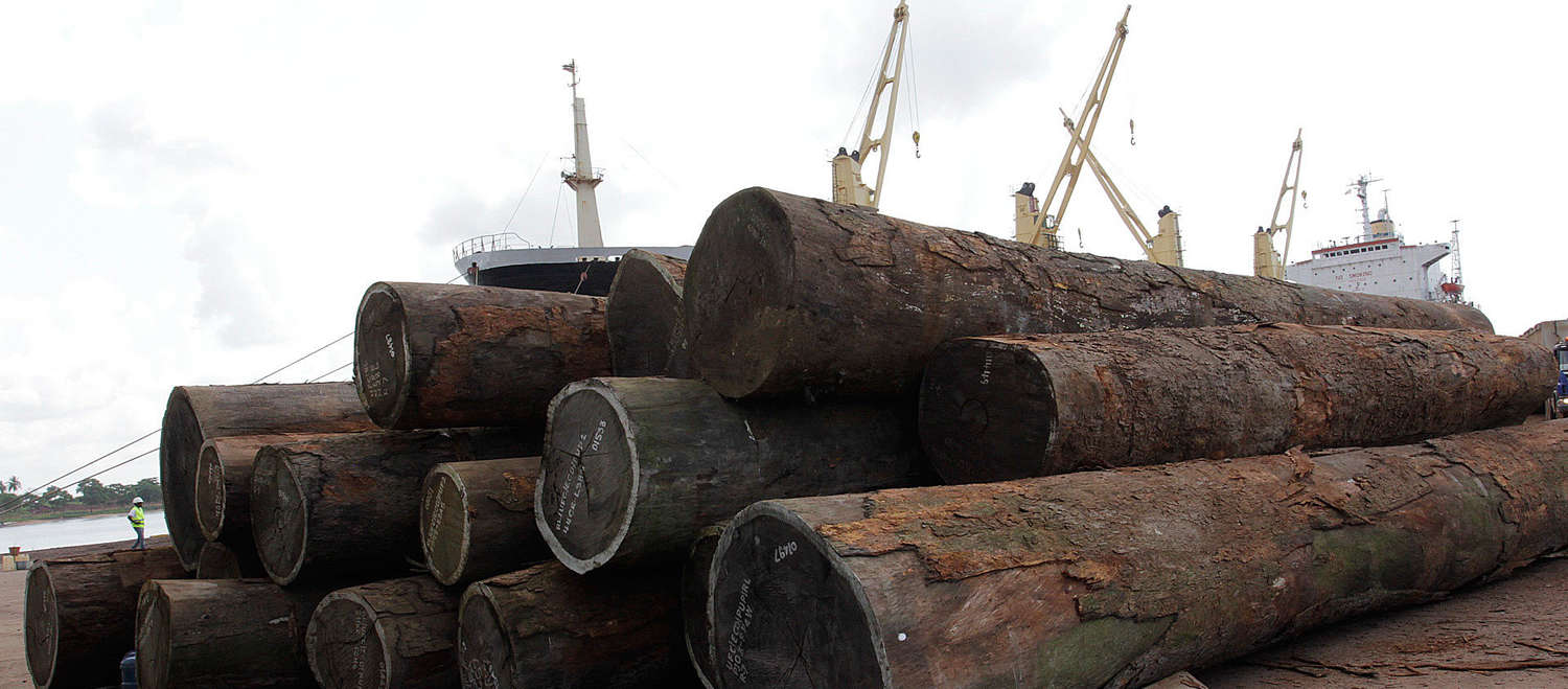 Holzstämme vor einem Hafen in Liberia